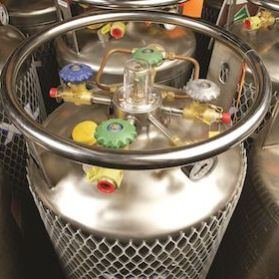  Our compressed gas range includes; protective netting for tanks caps for valves with internal threads plugs for valves…